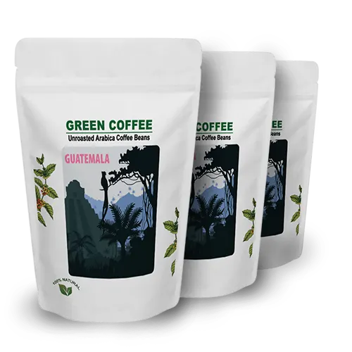Perfetto Guatemala Single Origin – Oriente Esquipulas Arabica Green Beans