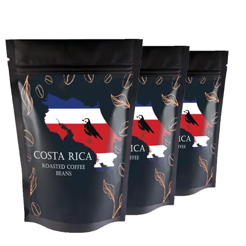 Perfetto Costa Rica El Bueyerito Arabica Roasted Beans