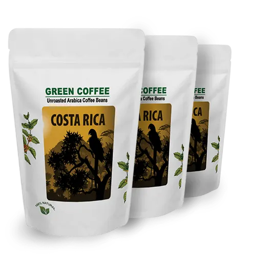 Perfetto Costa Rica El Bueyerito Arabica Green Beans