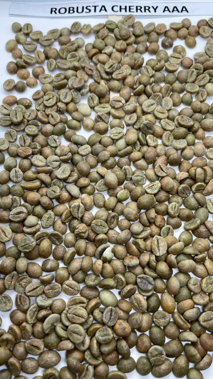 Robusta Cherry AAA