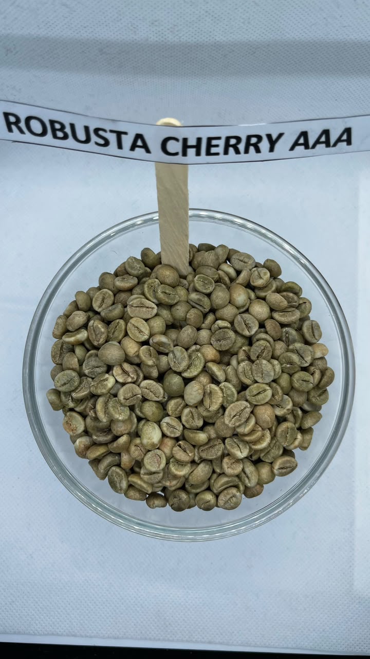 Robusta Cherry AAA