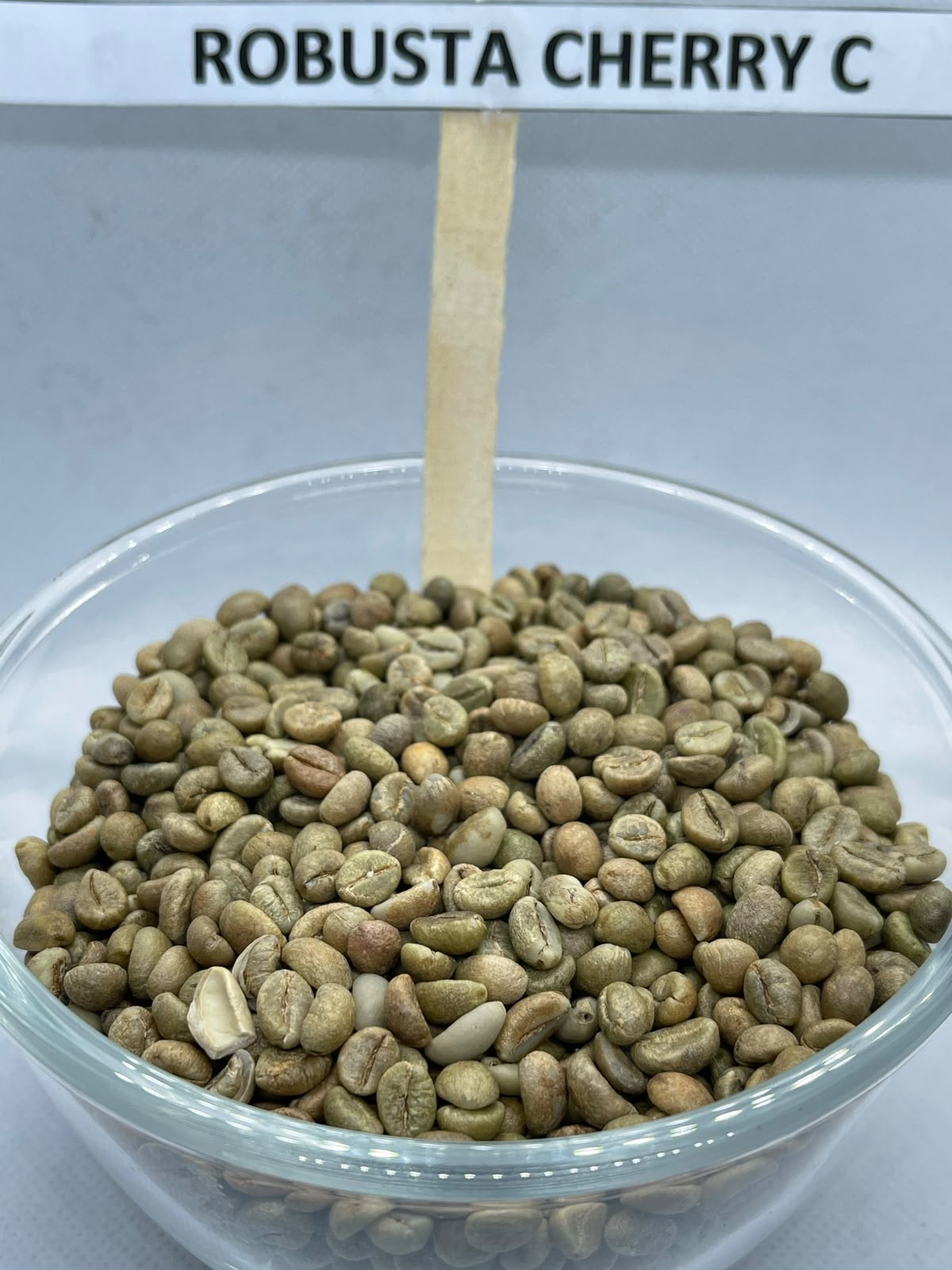 Robusta Cherry C