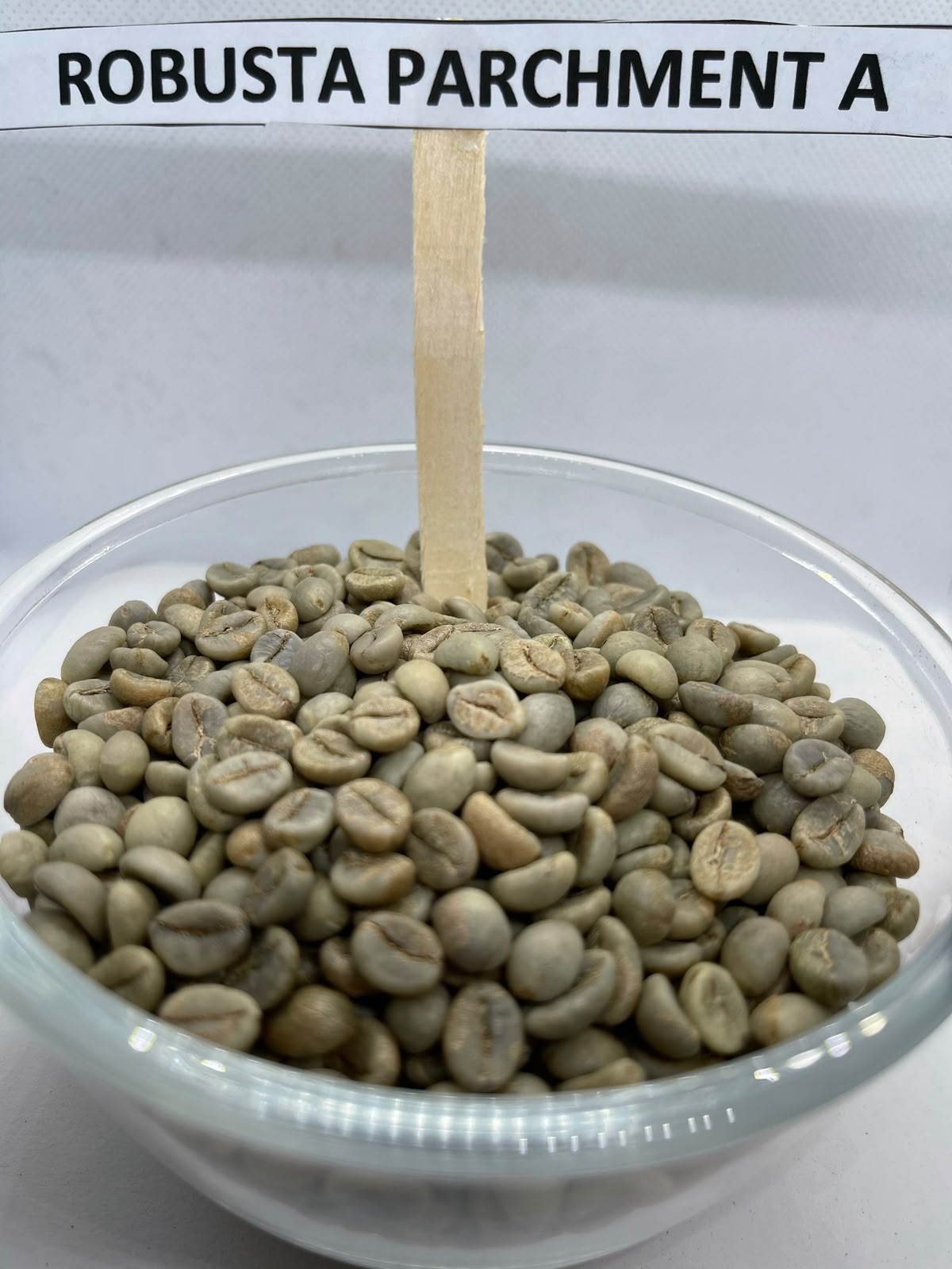 Robusta Parchment A / Robusta Kappi Royale 17