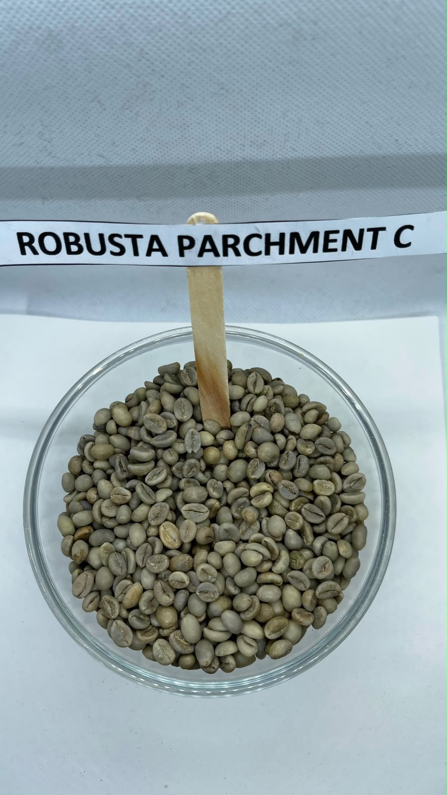 Robusta Parchment C